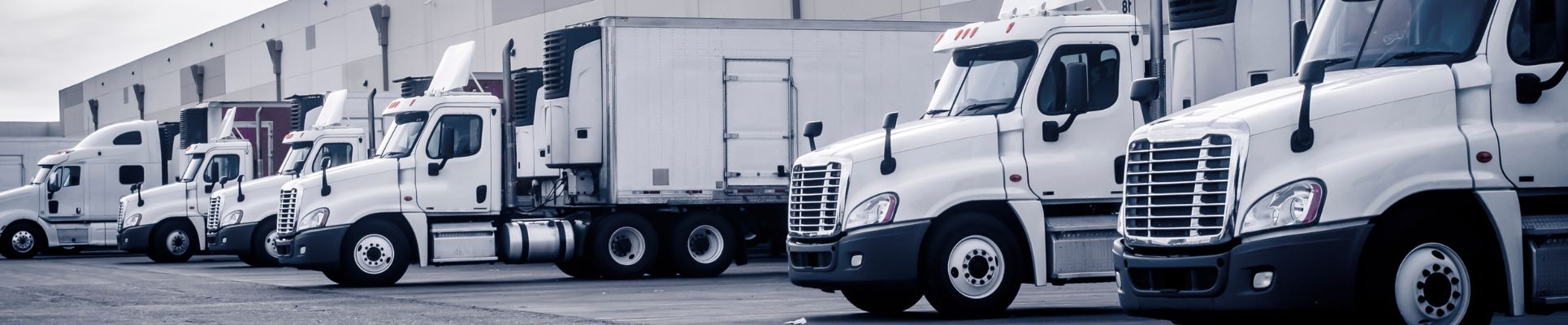 Tips for Improving Sustainability in Your Trucking Business